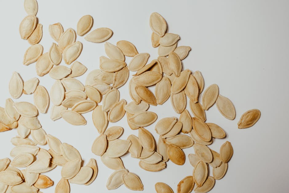 Image for Paleo Diet for Seniors