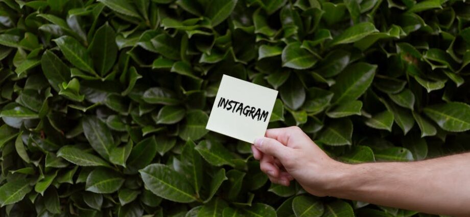 Image for "AI Content Marketing Trends in Paleo Wellness: What You Nee